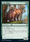 �����۸Ż���������/Veteran Adventurer[��U]��ZNR��