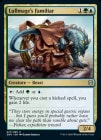 �ڱѡ�����ƻ�ΤλȤ���/Lullmage's Familiar[¿��U]��ZNR��