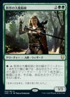 ���������������ѻ�/Magus of the Order[��R]��CMR��
