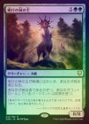 ��FOIL�ۡ������������Ӥμ�/Dawnglade Regent[��R]��CMR��
