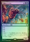 ��FOIL�ۡ����۴�Ϫ�Υ��ȥ���/Sweet-Gum Recluse[��R]��CMR��