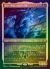 ��FOIL�ۡ�����ͩ��ν�Ĺ������ɡ���/Karador, Ghost Chieftain[¿��MR]��CMR��[���å��󥰲ù�]
