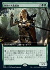 ���������������ѻ�/Magus of the Order[��R]��CMR��[��ĥ������]