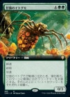�����۴�Ϫ�Υ��ȥ���/Sweet-Gum Recluse[��R]��CMR��[��ĥ������]