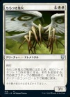 ���ݥ����10��Ը���������ۤ���Ĥ�����/Flickerwisp[��U][374]��CMR��