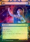 ��FOIL�ۡ���������/Opt[��U]��STA��[�̾�֡���������]