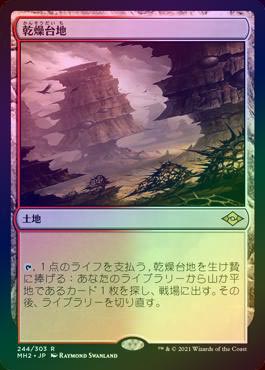 FOIL】【日】乾燥台地/Arid Mesa[土地R]【MH2】 | モダン以下・特殊