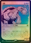 ��FOIL�ۡ�����ε��/Dragon Turtle[��R]��AFR��[���硼��������]