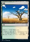 /Grasslands[U]AFC