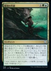 �����۸���ζ���/Primal Empathy[¿��U]��NCC��