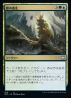 �������Ԥοʲ�/Urban Evolution[¿��U]��NCC��