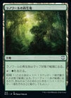 SALEۥΥκ/Llanowar Reborn[U]NCC