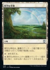 SALE/Vivid Meadow[U]NCC