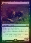 FOILۡ礤/Gravecrawler[R]2X2