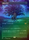 ��FOIL�ۡ�����Ĵ�¤��濴/Concordant Crossroads[��MR]��2X2��[�ܡ������쥹]