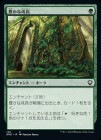 ������˭������Ĺ/Abundant Growth[��C]��DMC��