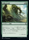 ����������μ����/Kodama's Reach[��C]��DMC��