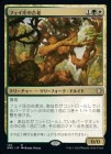 �����ۥե������θ�Ϸ/Faeburrow Elder[¿��R]��DMC��