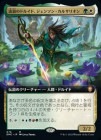 ������ήϲ�Υɥ륤�ɡ������󥽥󡦥��륵�ꥪ��/Jenson Carthalion, Druid Exile[¿��MR]��DMC��[��ĥ������]