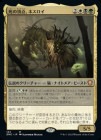 �����ۻ��ĺ�����ͥ�����/Nethroi, Apex of Death[¿��MR]��DMC��