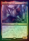 FOILۡۤޤΡ/Stangg, Echo Warrior[¿R]DMC