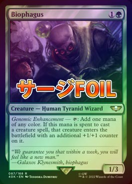 MTG サージ foil 英語版 バイオファガス Biophagus 40K サージFOIL】【英】バイオファガス/Biophagus[緑R]【40K】 | モダン