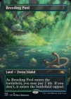 �ڱѡ��˿���/Breeding Pool[����R]��UNF��[�ܡ������쥹]