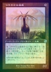 ��FOIL�ۡ����ۤĤ�䤫��ͺ��/Burnished Hart[̵��U]��BRO-���ȡ�