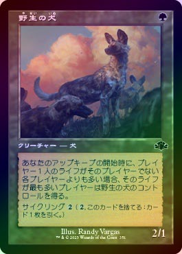 FOIL】【日】野生の犬/Wild Dogs[緑C]【DMR】[旧枠] | モダン以下