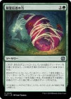 ����������Ԥ���/Animist's Might[��U]��MAT��