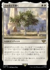 ����������ڤ˲ֳ���/Flowering of the White Tree[��R]��LTR��