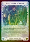 ��Rainbow Foil��[Elemental Runeblade]Briar, Warden of Thorns [P]�ԥץ����ǡ�
