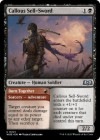 �ڱѡ�̵��������/Callous Sell-Sword[��U]��WOE��
