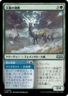 �����������ͺ��/Tempest Hart[��U]��WOE��