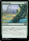 ������Ʀ���ڤ�Τܤ�/Up the Beanstalk[��U]��WOE��