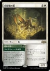 �����۲�ʴ�����/Pollen-Shield Hare[��R]��WOE��