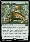 �ڱѡ۳��֤ε�/Blossoming Tortoise[��MR]��WOE��
