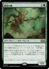�������ȿ��λ�/Wildwood Mentor[��R]��WOE��