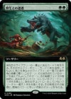 �����������Ȥ�����/Feral Encounter[��R]��WOE��[��ĥ������]