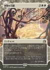 �����ۿ���������/Leyline of Sanctity[��R]��WOT��