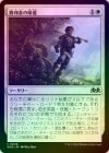 ��FOIL�ۡ����۾����Ԥε���/Return Triumphant[��C]��WOE��