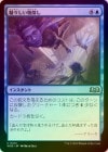 ��FOIL�ۡ�������������ʪõ��/Rowdy Research[��U]��WOE��