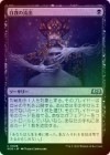 ��FOIL�ۡ����ۼ����ή��/Ego Drain[��U]��WOE��