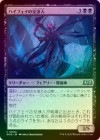 ��FOIL�ۡ����ۥϥ��ե����θ�Ŀ�/High Fae Negotiator[��U]��WOE��