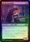 ��FOIL�ۡ����۶ȴ�����β��β�/Lord Skitter's Butcher[��U]��WOE��