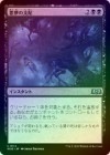 ��FOIL�ۡ����۰�̴�λ���/Taken by Nightmares[��U]��WOE��