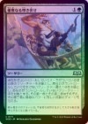 ��FOIL�ۡ�����ͥ���ʤ�á������/Graceful Takedown[��U]��WOE��