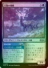 ��FOIL�ۡ����������ͺ��/Tempest Hart[��U]��WOE��