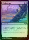 ��FOIL�ۡ�����Ʀ���ڤ�Τܤ�/Up the Beanstalk[��U]��WOE��