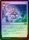 ��FOIL�ۡ����ۺ�ɸ��󥿥�/Soul-Guide Lantern[̵��U]��WOE��